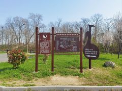 -盐城丹顶鹤湿地生态旅游区