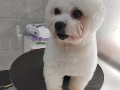 -佳雯宠物医院(四明中路分院)