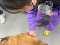 -瑞派宠物医院·24h·骨外科·皮肤科·全科宠物医疗转诊中心(沈阳浑南院)