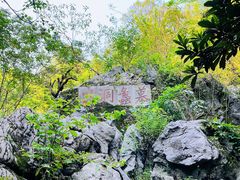 -陶祖圣境风景区