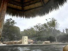 -瑞阁温泉酒店温泉中心