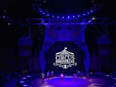 -俄罗斯国家大马戏团