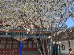 -莲池书院博物馆