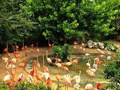 -大连森林动物园