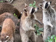 -宁波野生动物园