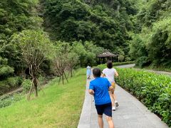 -神龙峡风景区