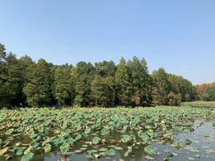 -东湖落雁景区
