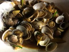 -普陀山祥生大酒店