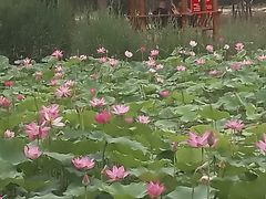 -太阳宫公园