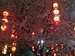 -大唐博相府酒店·陕西官府菜