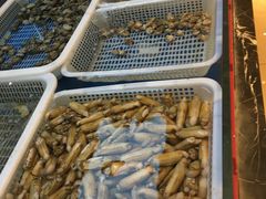 -金蝉食府(维吉奥广场店)