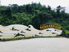 -西双版纳原始森林公园