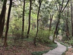 -杭州植物园