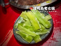 -谭鸭血老火锅(漳州路店)