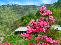 -木兰云雾山