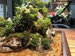 -森味薪火烧•烧鸟居酒屋•日本料理(望京店)