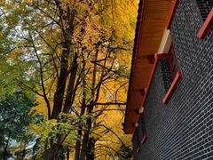 -四川大学(望江校区)
