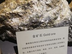 -陕西自然博物馆