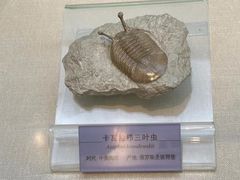 -国家自然博物馆