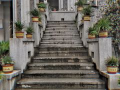 -古德寺