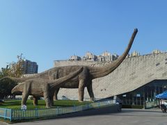-安徽省地质博物馆