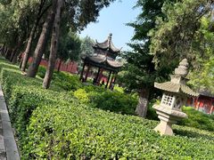 -洛阳白马寺