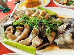 石斑鱼-熙瓏里(万科店)