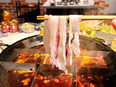 瀑布鱿鱼-井口火火锅