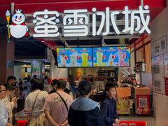 -西双版纳原始森林公园