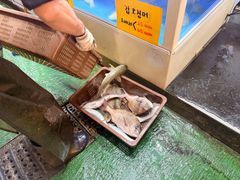 -西归浦每天偶来市场