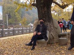-千年银杏谷文化旅游区