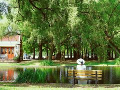 -上海共青森林公园