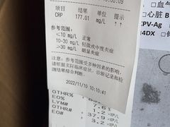 -伟伟宠物医院·CT影像中心·瑞派犬猫综合性门诊(汉口总院)