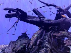-海合安武汉极地海洋公园