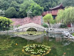 -黄鹤楼