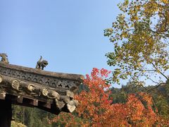 -塔川景区