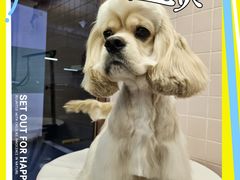 -FAELING PETS美天灵宠物(富力广场店)