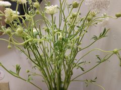 -梅花境(万科店)