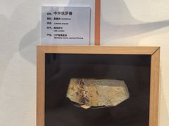 -国家自然博物馆