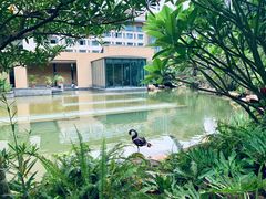-南宁荔园维景国际酒店·荔园中餐厅