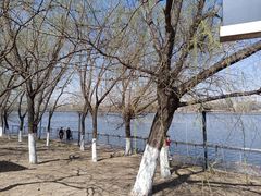 -长白岛森林公园