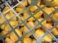 -精精化州糖水(港澳商业城店)