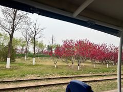 -永定河休闲森林公园