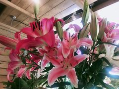 -春暖花开(西溪店)