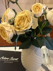 -演员的秘密·皮肤管理