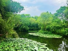 -西溪国家湿地公园