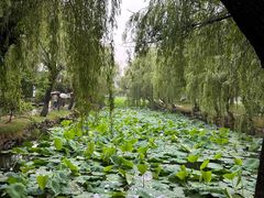 -锦溪古镇