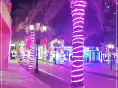 -三亚海昌梦幻海洋不夜城