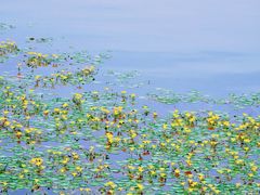 -西昌邛海湿地