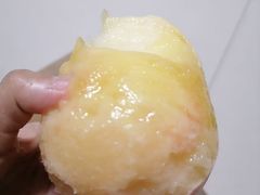 -老袁家蜜桃农场·阳山水蜜桃